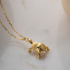 SCHILDKRÖTEN HALSKETTE aus 925 Silber - Eleganter Halskette - AURIME